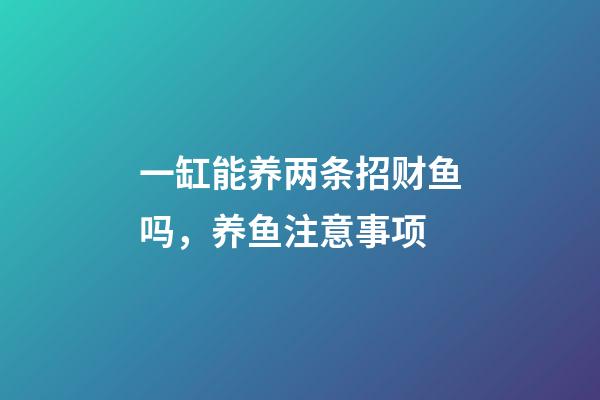 一缸能养两条招财鱼吗，养鱼注意事项