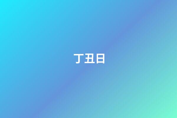 丁丑日