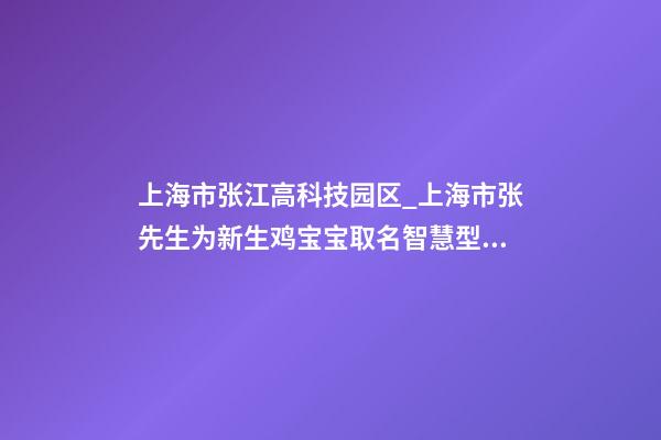 上海市张江高科技园区_上海市张先生为新生鸡宝宝取名智慧型套餐-第1张-公司起名-玄机派