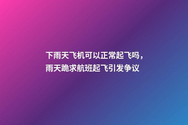 下雨天飞机可以正常起飞吗，雨天跪求航班起飞引发争议-第1张-观点-玄机派