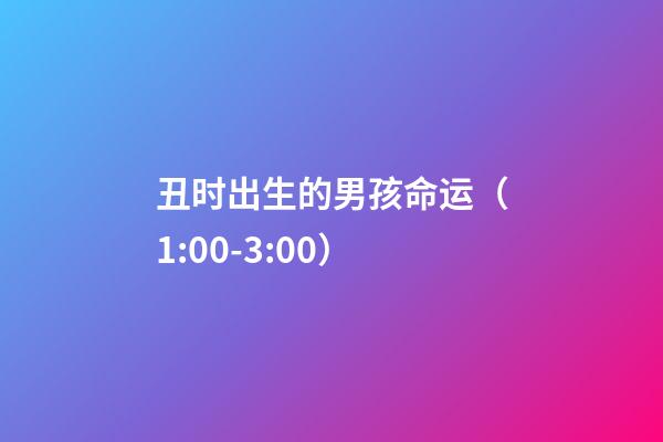 丑时出生的男孩命运（1:00-3:00）