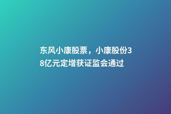 东风小康股票，小康股份38亿元定增获证监会通过-第1张-观点-玄机派