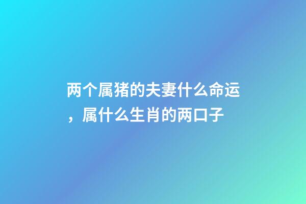 两个属猪的夫妻什么命运，属什么生肖的两口子-第1张-观点-玄机派