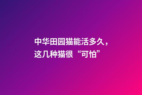 中华田园猫能活多久，这几种猫很“可怕”-第1张-观点-玄机派