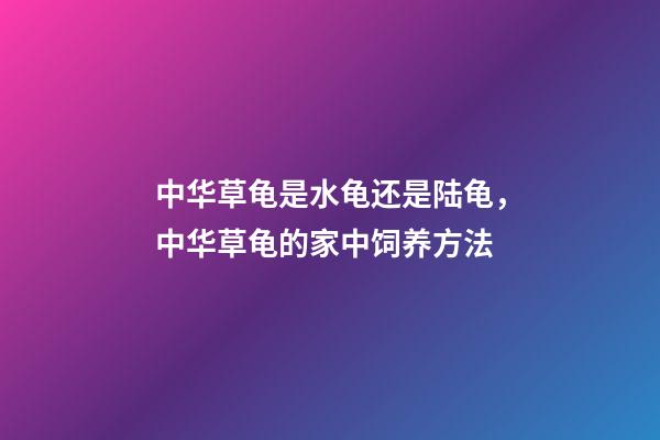 中华草龟是水龟还是陆龟，中华草龟的家中饲养方法-第1张-观点-玄机派