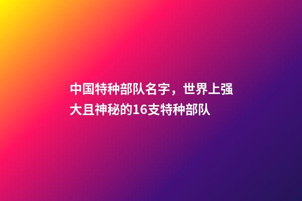 中国特种部队名字，世界上强大且神秘的16支特种部队-第1张-观点-玄机派