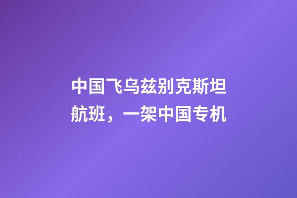 中国飞乌兹别克斯坦航班，一架中国专机-第1张-观点-玄机派