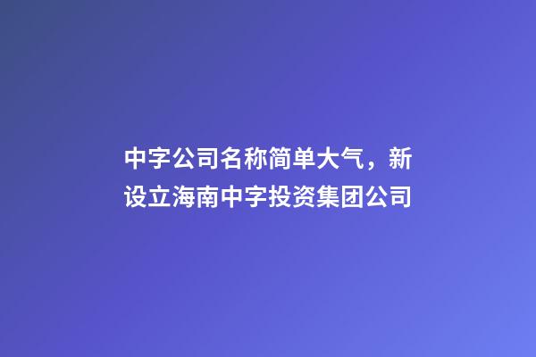 中字公司名称简单大气，新设立海南中字投资集团公司-第1张-观点-玄机派