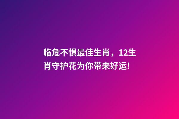 临危不惧最佳生肖，12生肖守护花为你带来好运!-第1张-观点-玄机派