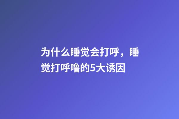 为什么睡觉会打呼，睡觉打呼噜的5大诱因-第1张-观点-玄机派