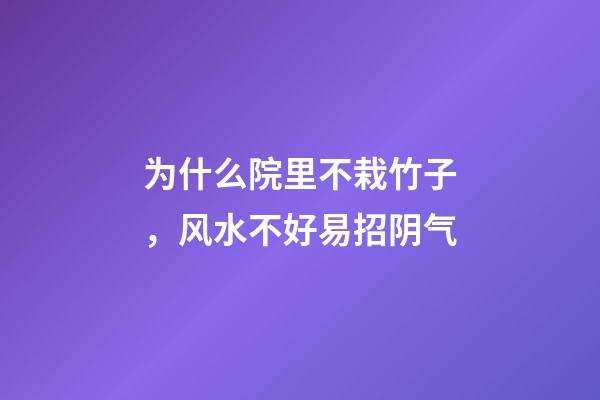 为什么院里不栽竹子，风水不好易招阴气