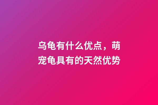 乌龟有什么优点，萌宠龟具有的天然优势-第1张-观点-玄机派