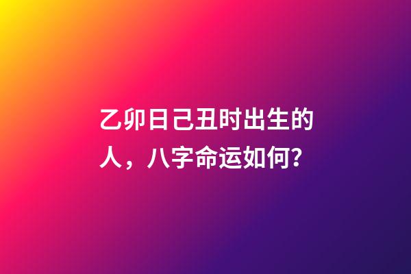 乙卯日己丑时出生的人，八字命运如何？