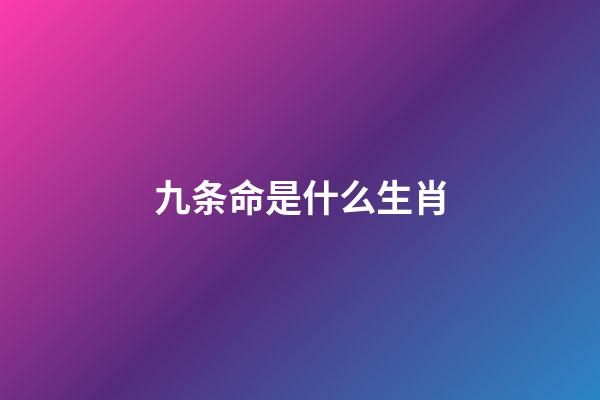 九条命是什么生肖(中国人的年夜饭怎么吃才讲究？福猫金鼠齐上桌，新年全家更多福)-第1张-观点-玄机派