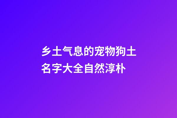 乡土气息的宠物狗土名字大全自然淳朴