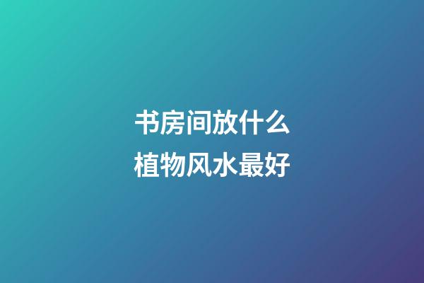 书房间放什么植物风水最好