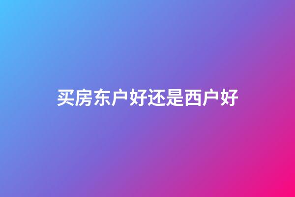 买房东户好还是西户好