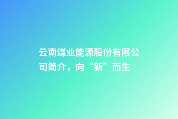 云南煤业能源股份有限公司简介，向“新”而生-第1张-观点-玄机派