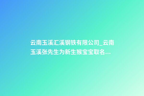 云南玉溪汇溪钢铁有限公司_云南玉溪张先生为新生猴宝宝取名吉祥型套餐-第1张-公司起名-玄机派