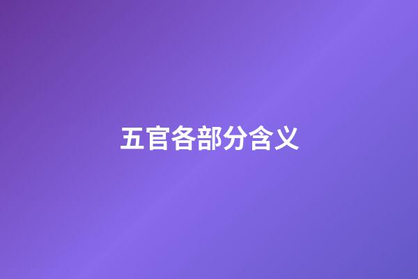 五官各部分含义