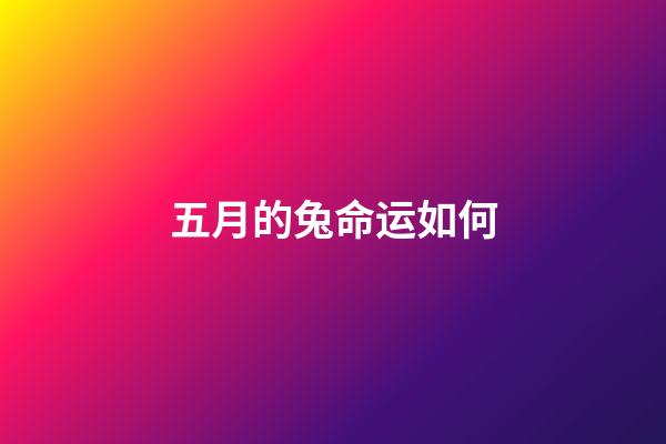 五月的兔命运如何(2022年五月份：狮子座整体运势详细解析，好事发生以及注意事项)-第1张-观点-玄机派