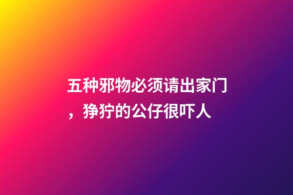 五种邪物必须请出家门，狰狞的公仔很吓人