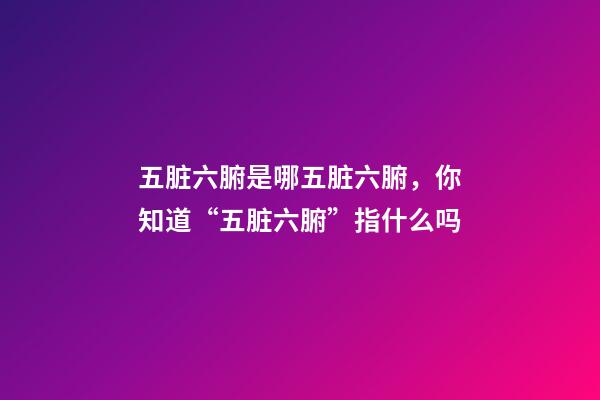 五脏六腑是哪五脏六腑，你知道“五脏六腑”指什么吗-第1张-观点-玄机派