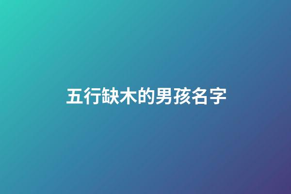 五行缺木的男孩名字