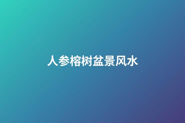 人参榕树盆景风水