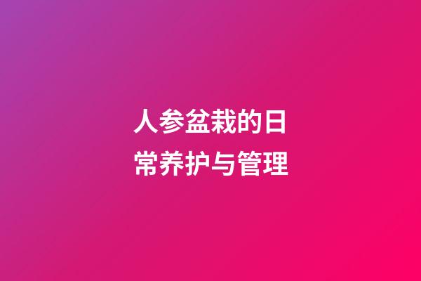 人参盆栽的日常养护与管理