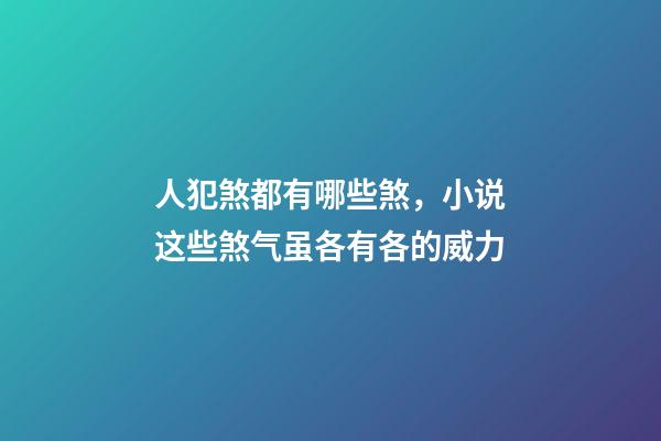 人犯煞都有哪些煞，小说这些煞气虽各有各的威力-第1张-观点-玄机派