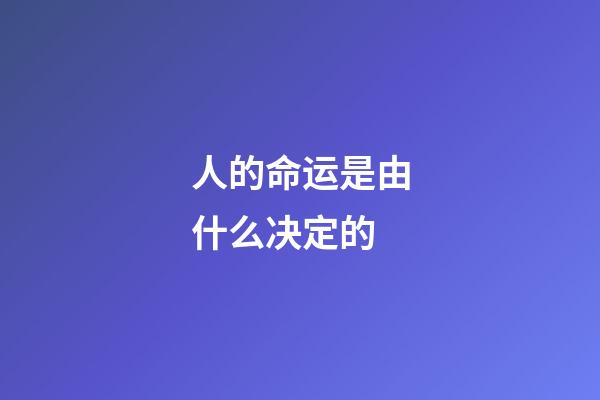 人的命运是由什么决定的