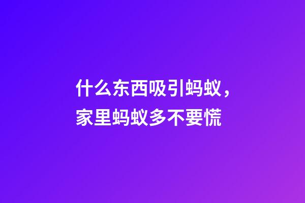 什么东西吸引蚂蚁，家里蚂蚁多不要慌-第1张-观点-玄机派