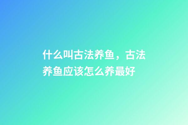 什么叫古法养鱼，古法养鱼应该怎么养最好-第1张-观点-玄机派