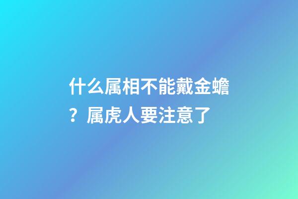 什么属相不能戴金蟾？属虎人要注意了