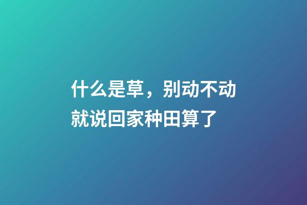 什么是草，别动不动就说回家种田算了-第1张-观点-玄机派