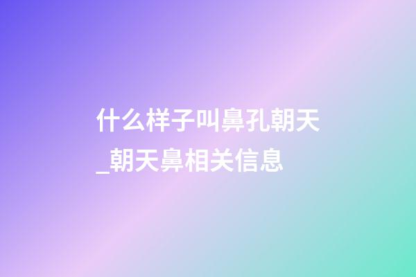 什么样子叫鼻孔朝天_朝天鼻相关信息