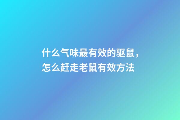 什么气味最有效的驱鼠，怎么赶走老鼠有效方法-第1张-观点-玄机派