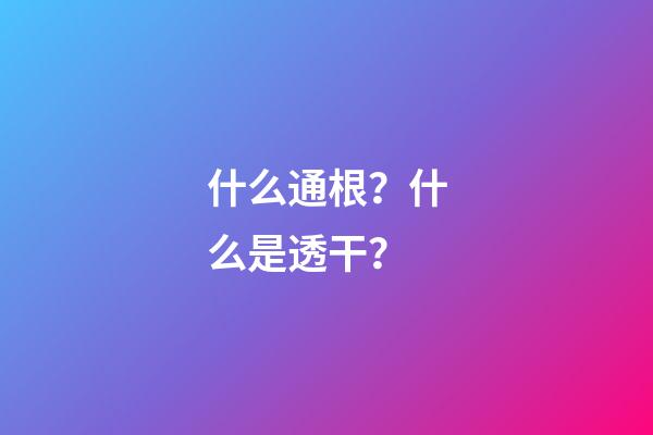 什么通根？什么是透干？