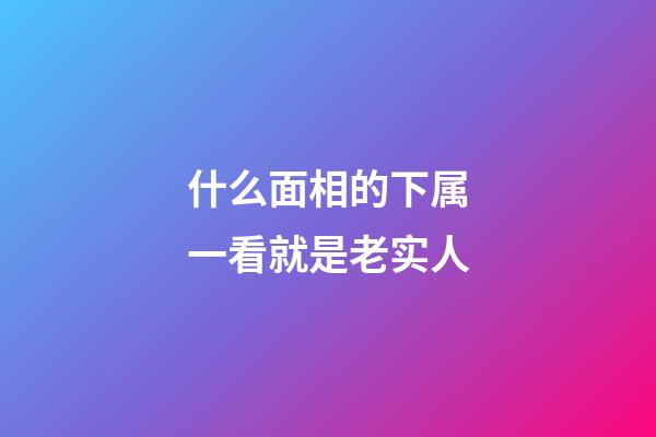 什么面相的下属一看就是老实人