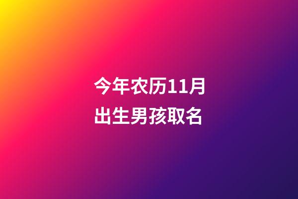 今年农历11月出生男孩取名(今年农历11月出生男孩取名大全)-第1张-男孩起名-玄机派