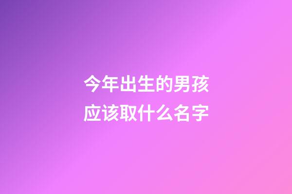 今年出生的男孩应该取什么名字(4000个好听的男孩名字)-第1张-男孩起名-玄机派