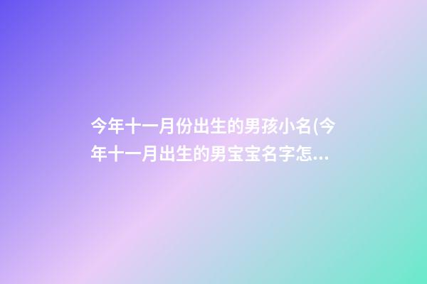 今年十一月份出生的男孩小名(今年十一月出生的男宝宝名字怎么起)