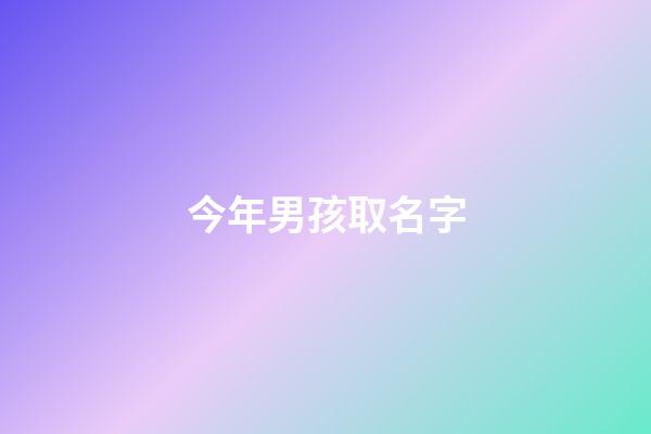 今年男孩取名字(今年男孩取名字用什么字最好)-第1张-男孩起名-玄机派