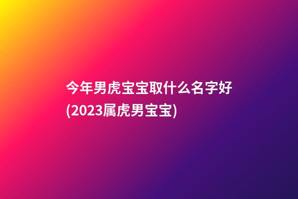 今年男虎宝宝取什么名字好(2023属虎男宝宝)