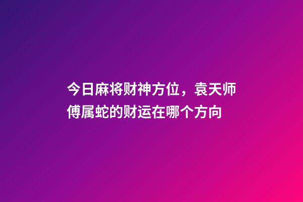 今日麻将财神方位，袁天师傅属蛇的财运在哪个方向-第1张-观点-玄机派