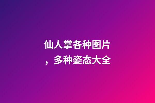 仙人掌各种图片，多种姿态大全-第1张-观点-玄机派