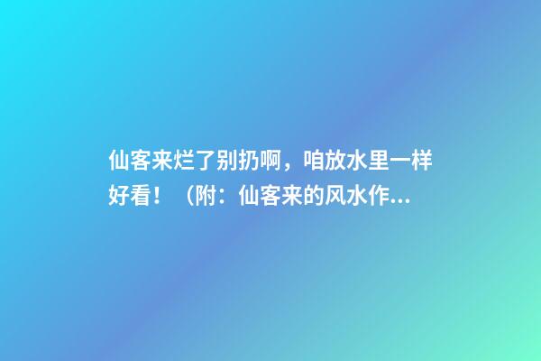 仙客来烂了别扔啊，咱放水里一样好看！（附：仙客来的风水作用）