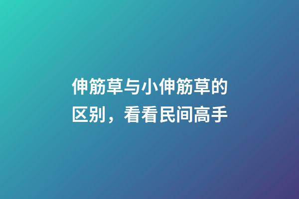 伸筋草与小伸筋草的区别，看看民间高手-第1张-观点-玄机派