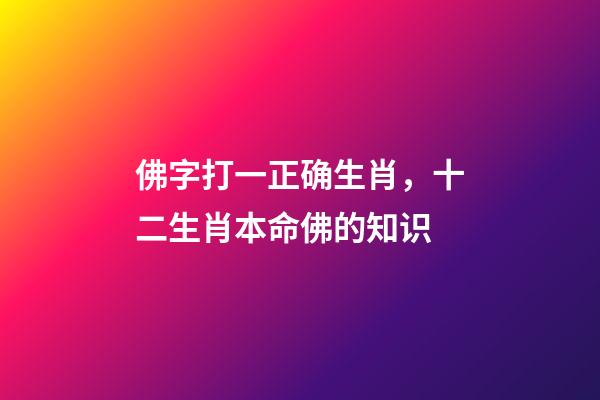 佛字打一正确生肖，十二生肖本命佛的知识-第1张-观点-玄机派